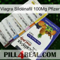 Viagra Sildénafil 100Mg Pfizer 11